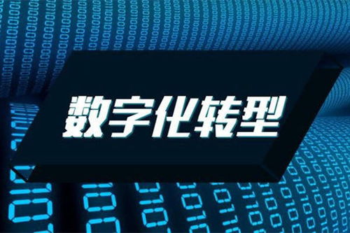 摩杜云 以云原生技术构建坚实底座，全面赋能企业数字化转型